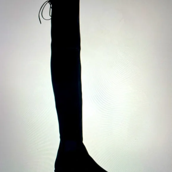 Stuart Weitzmsn “ Lowland” Suede Over-the Knee Boots